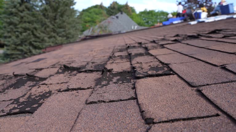 Best EPDM Roofing  in Bremen, GA