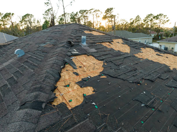 Best Skylight Installation and Repair  in Bremen, GA